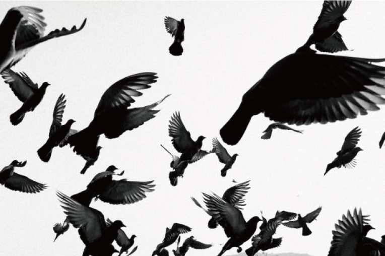 会社設立まるごとパック